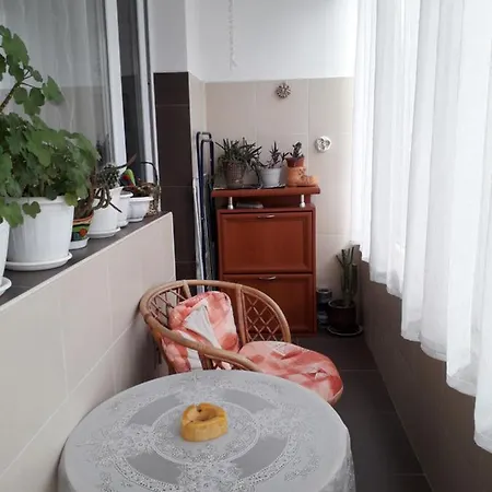 Family Style, Main Street, 20 Minutes From The Sea 아파트